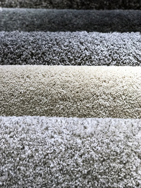 Carpet Cleaning